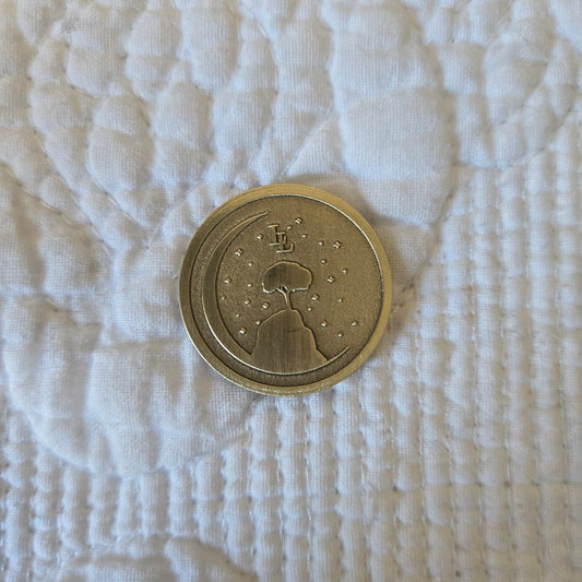 Reflection Peak Collector Coin