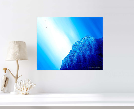 Skyward Bound - Fine Art Print